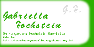 gabriella hochstein business card